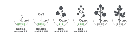 image.png image.png
