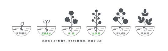 image.png image.png